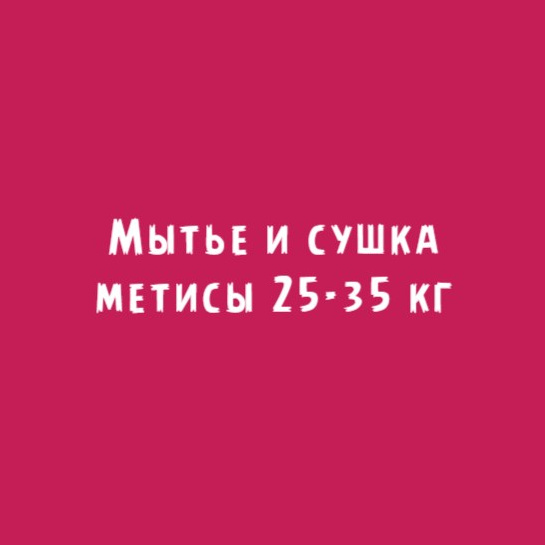 Метисы 25-35кг: Мытьё и сушка