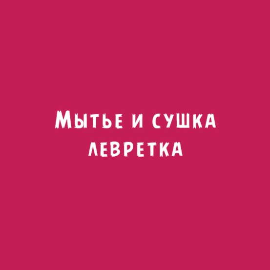 Левретка: Мытьё и сушка