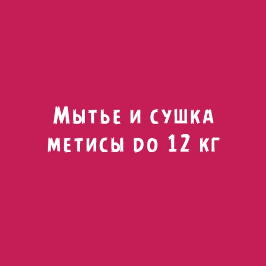 Метисы до 12кг: Мытье и сушка