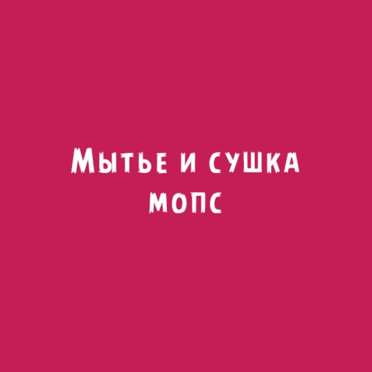 Мопс: мытье и сушка