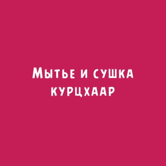 Курцхаар: Мытье и сушка