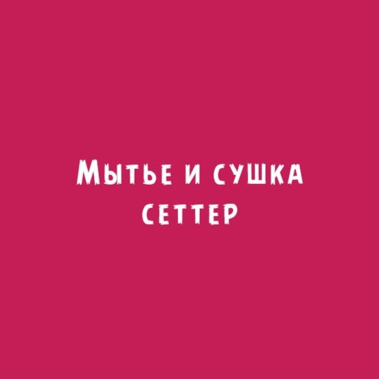 Сеттер: мытье и сушка