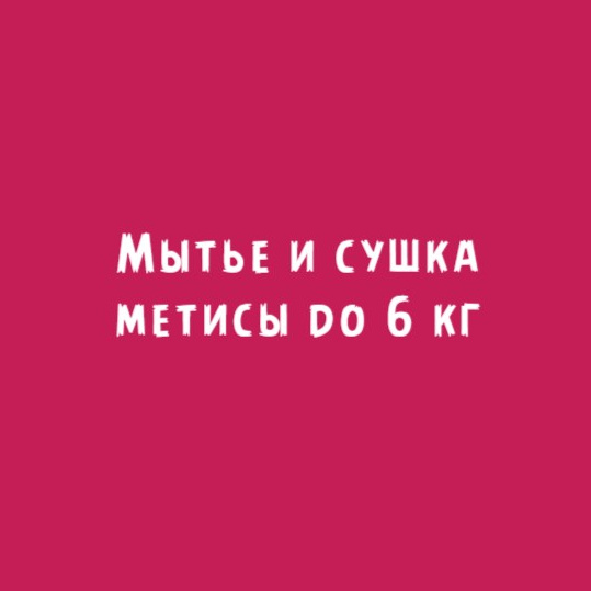 Метисы до 6кг: Мытье и сушка