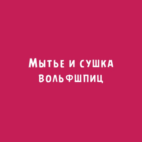 Кеесхонд (Вольфшпиц): Мытье и сушка