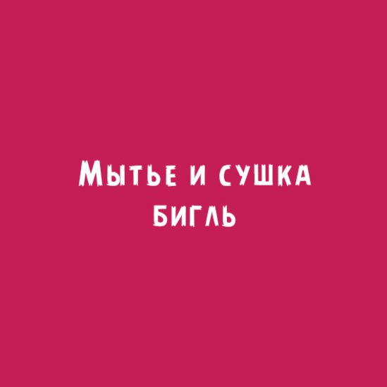 Бигль: Мытьё и сушка