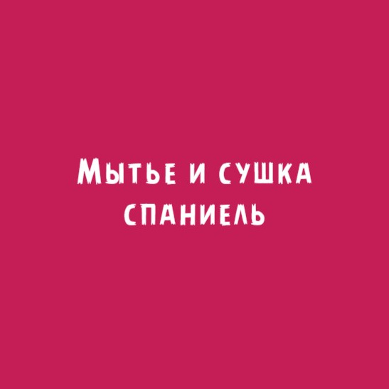 Спаниель (Английский, Американский, Русский): Мытье и сушка