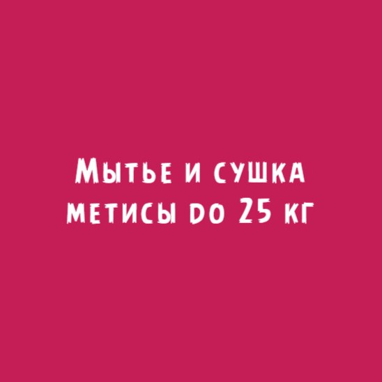 Метисы до 25 кг: Мытье и сушка