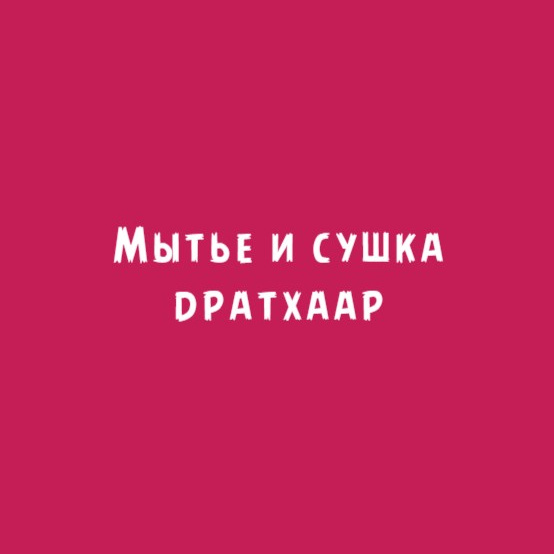 Дратхаар: Мытье и сушка