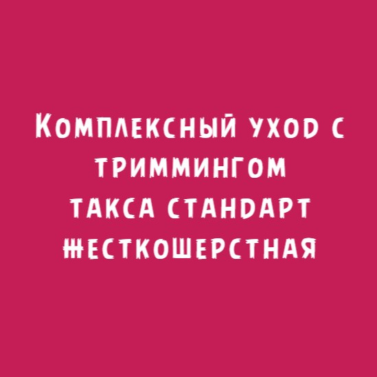 Такса жесткошерстная стандарт: Комплексный уход с триммингом