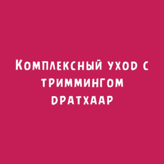 Дратхаар: Комплексный уход тримминг