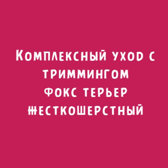 Фокс терьер жесткошерстный: Комплексный уход с триммингом