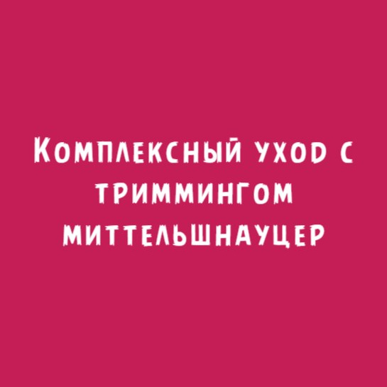 Миттельшнауцер: Комплексный уход с триммингом