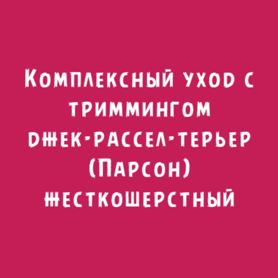 Джек-рассел-терьер (Парсон) жесткошерстный:: Комплексный уход с триммингом