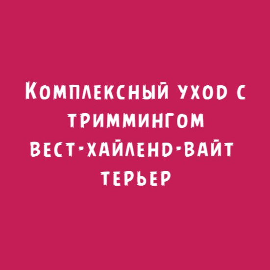 Вест хайленд вайт терьер: Комплексный уход с триммингом