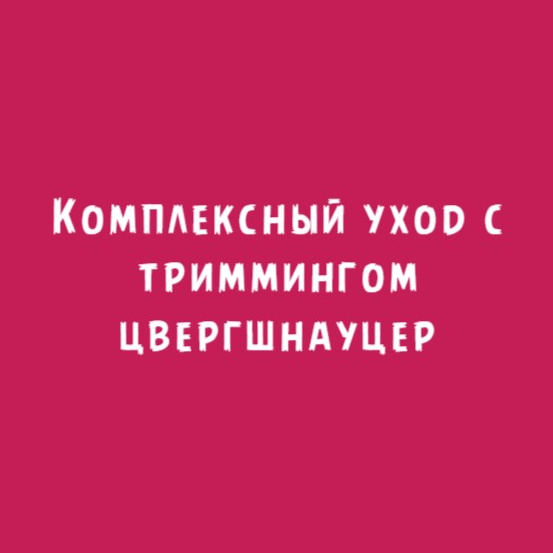 Цвергшнауцер: Комплексный уход с триммингом