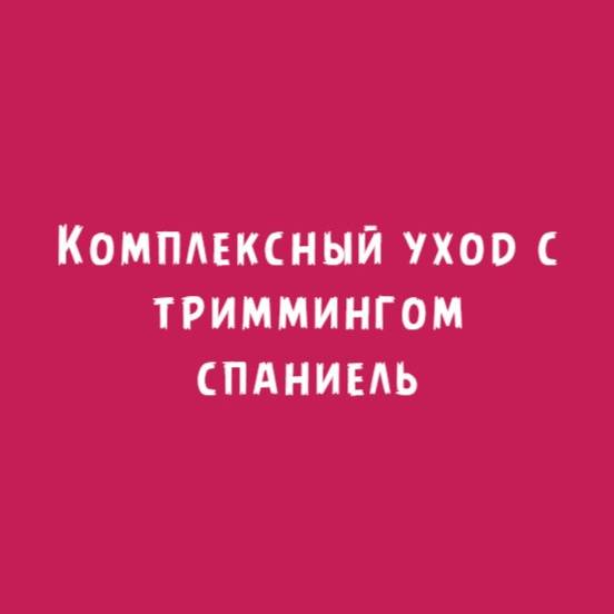 Спаниель (Английский, Американский, Русский): Комплексный уход тримминг