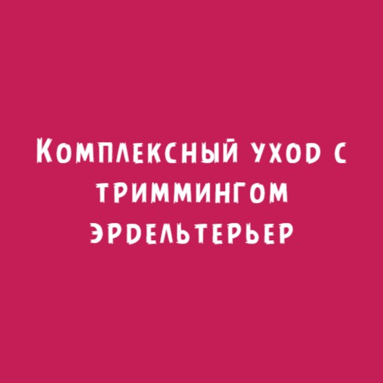 Эрдельтерьер: Комплексный уход с триммингом