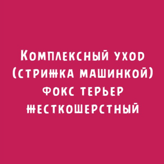 Фокс терьер жесткошерстный: Комплексный уход стрижка машинкой