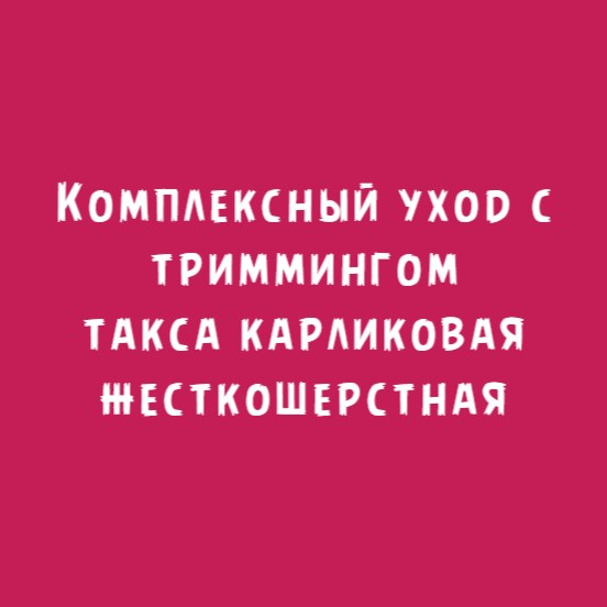 Такса жесткошерстная карликовая: Комплексный уход с триммингом