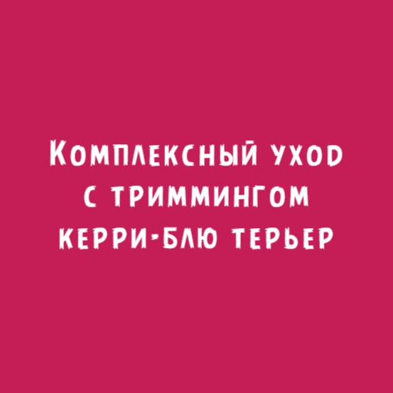 Керри-блю терьер: Комплексный уход тримминг