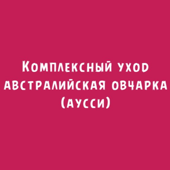 Австралийская овчарка (аусси): Комплексный уход