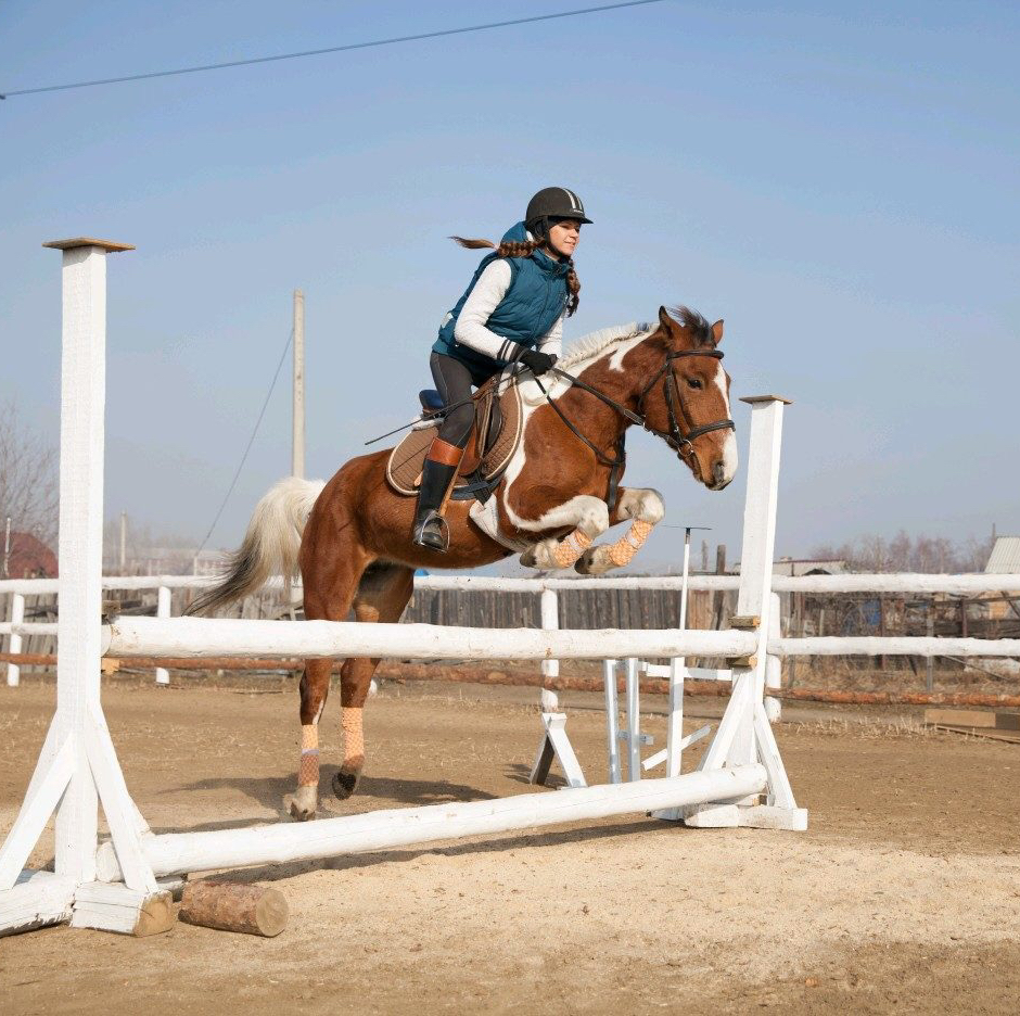 Индивидуальная тренировка. Конкур!