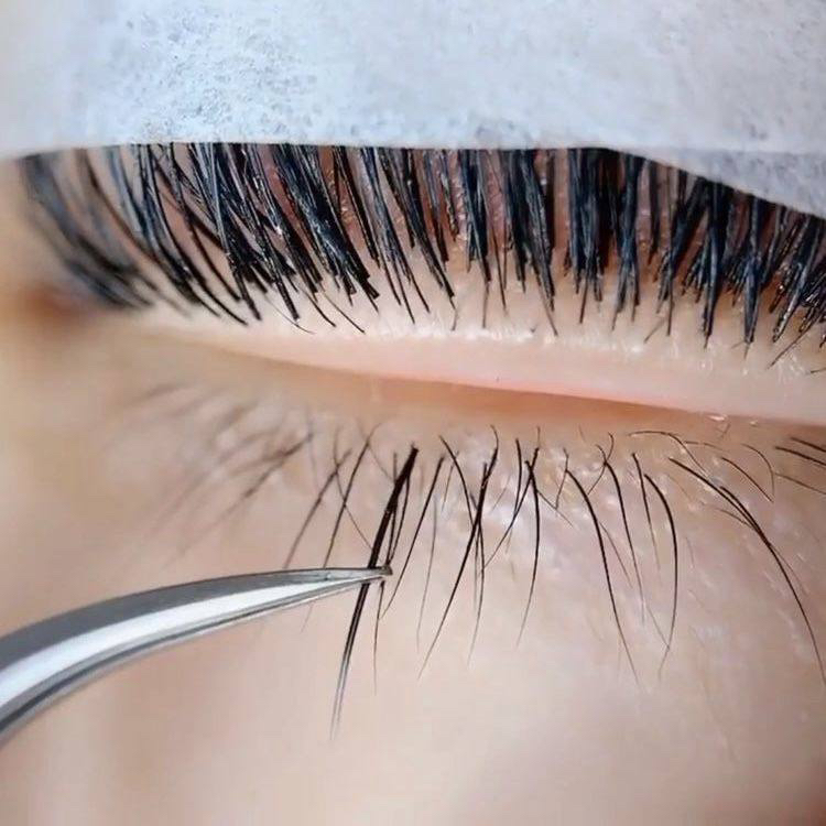 НИЖНИЕ РЕСНИЦЫ