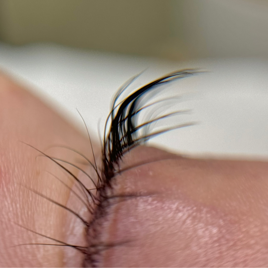 Максимальный комплекс