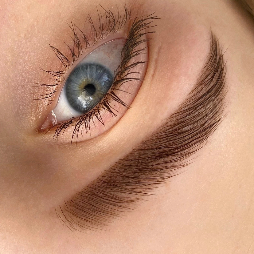 Оформление бровей  краской ( в стоимость входит коррекция и окрашивание)