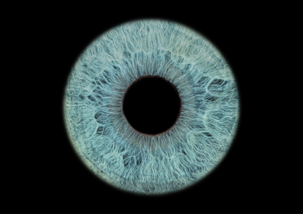 Zdjęcie jednej tęczówki | Photo of one iris