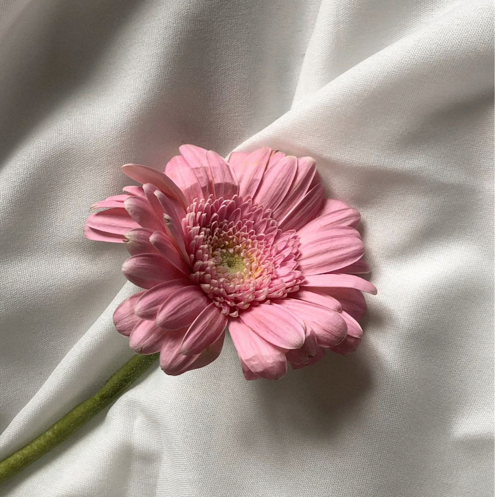 Классическое бикини