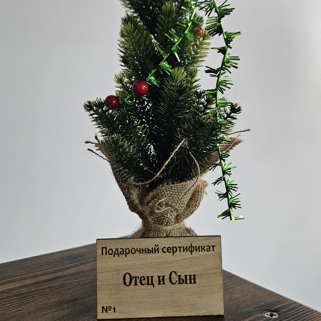 Подарочный сертификат 
Отец и сын