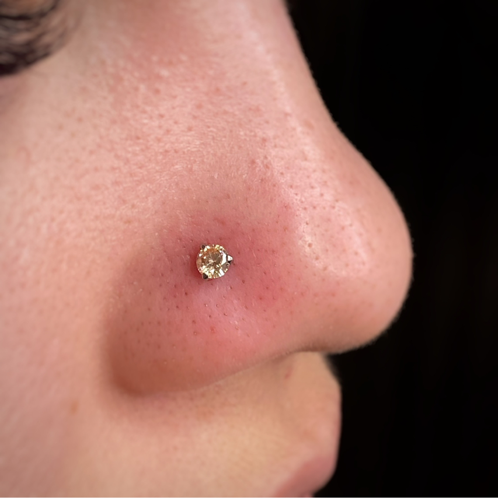 Нострил (крыло носа)