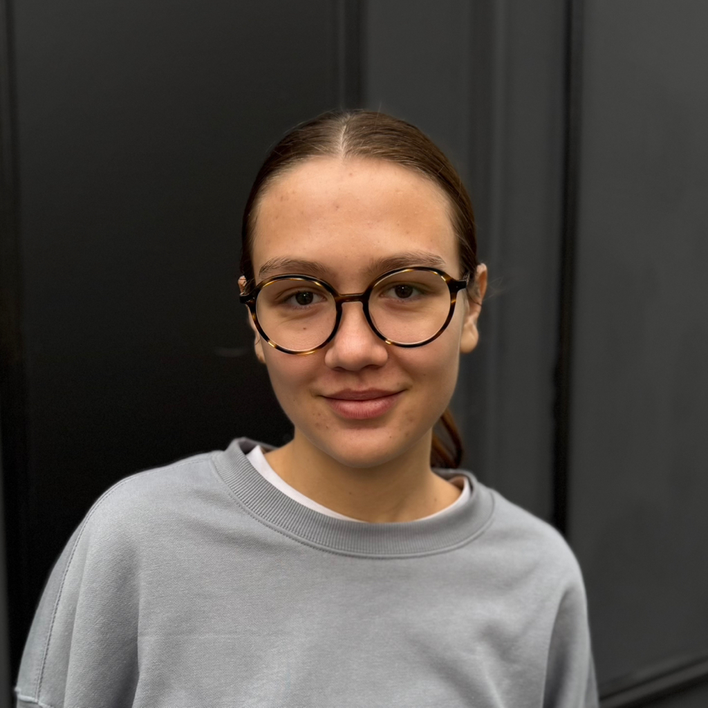 Vlada