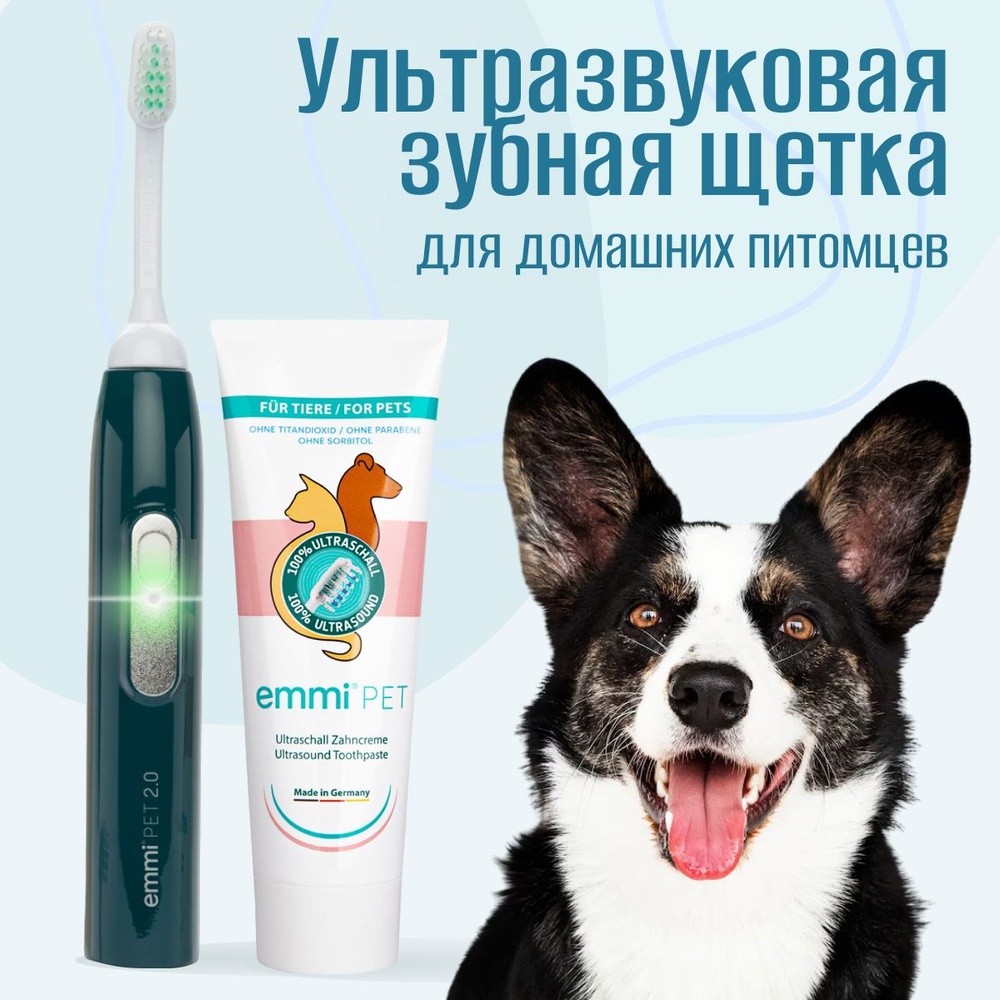 Чистка зубов УЗ щеткой(маленькие породы собак)