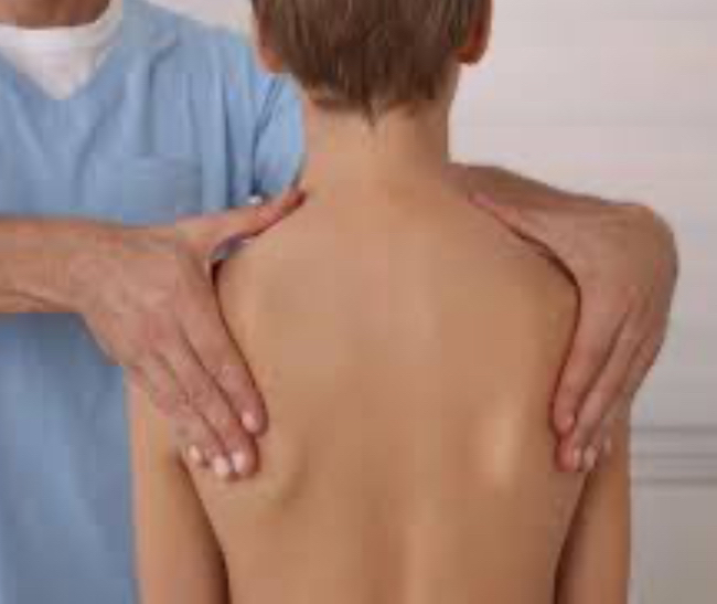 Консультация, диагностика и составление плана для домашнего АФК  МЕЛЬНИК С.И.