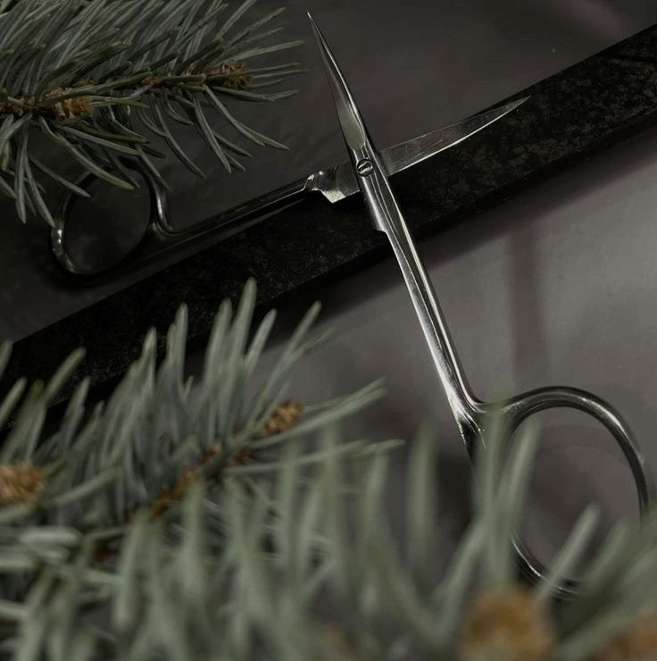 Комплекс 1. Маникюр ( укрепление & спа) + педикюр все включено