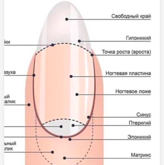 Обучение маникюр, педикюр, наращивание ногтей