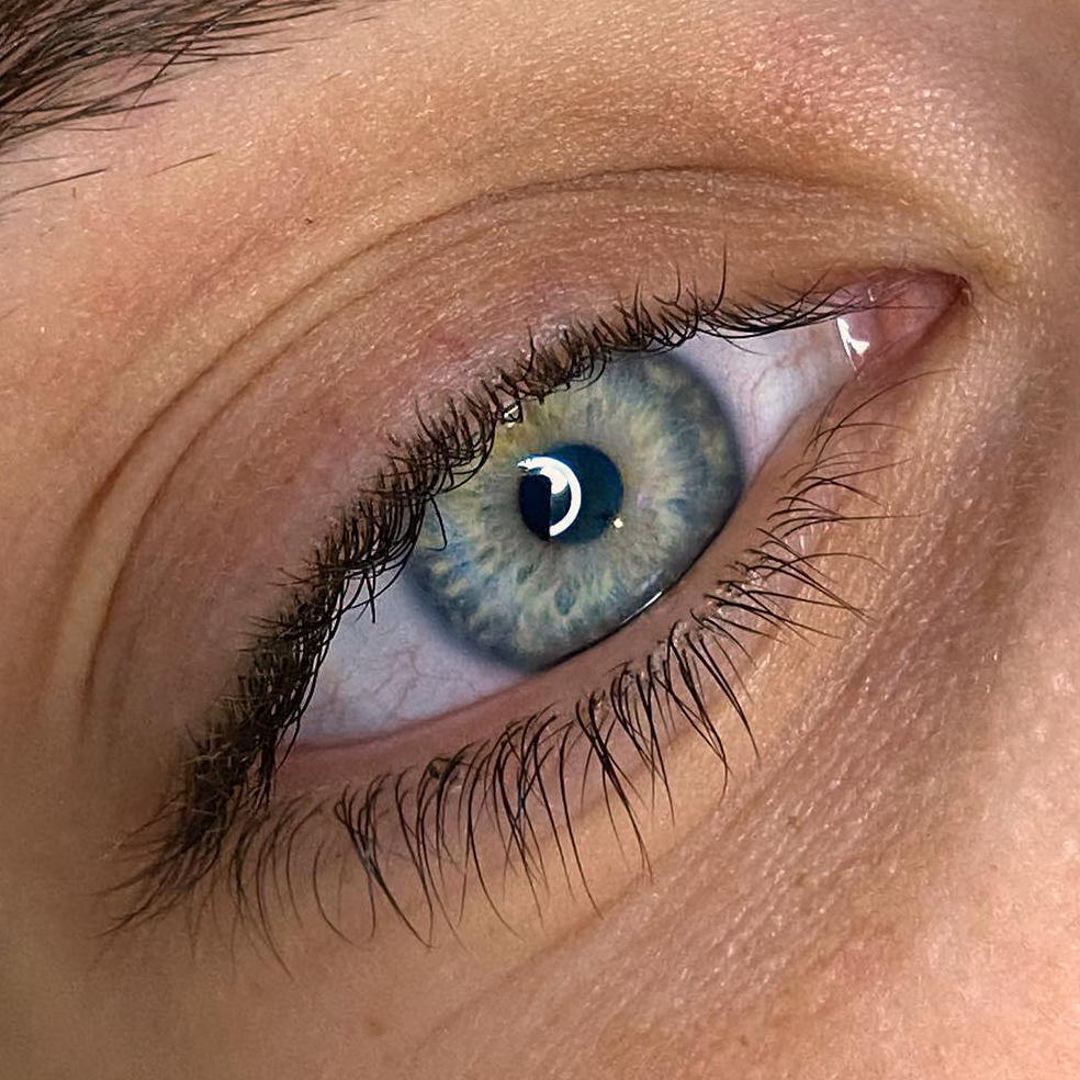 Лами ресниц