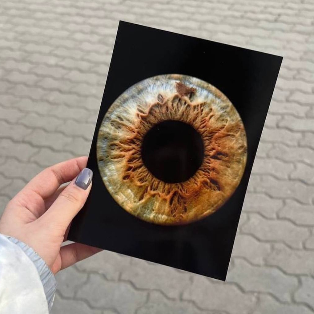 Одиночное фото радужки