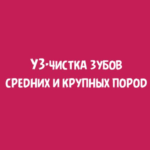 УЗ-чистка зубов средних и крупных пород (от 15кг и более)