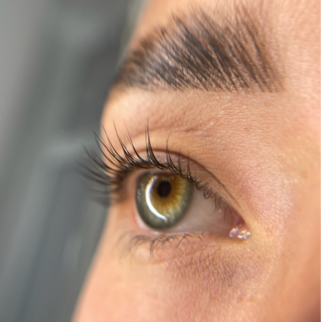 Velvet ресниц + Долговременная укладка бровей