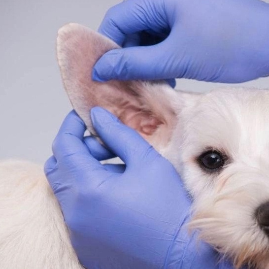 Чистка ушей