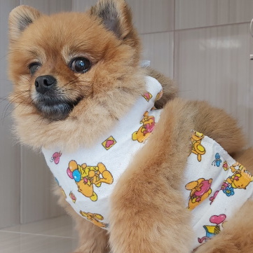 Стерилизация собаки до 5 кг