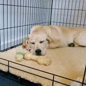 Пребывание в стационаре