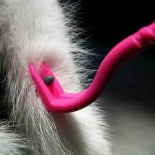 Удаление клеща