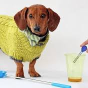 Анализ мочи