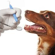 Удаление зуба с наркозом