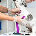 Установка внутривенного катетера