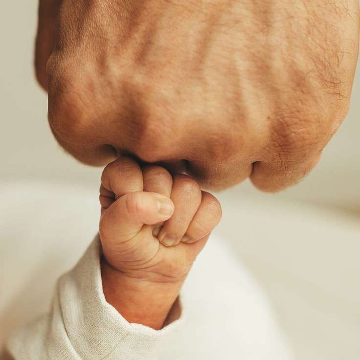 Отцовство (установление, исключение)